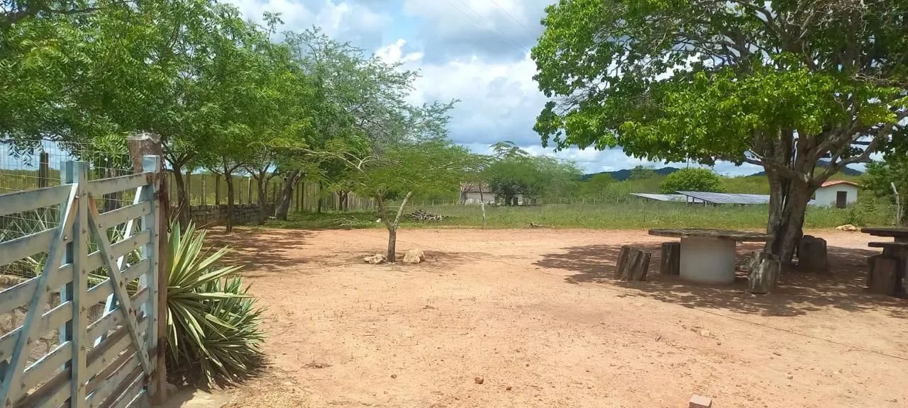 FAZENDA À VENDA EM RIACHUELO/RN - Foto 4