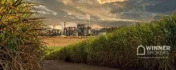 Usina sucroalcooleira no Brasil - Foto 2