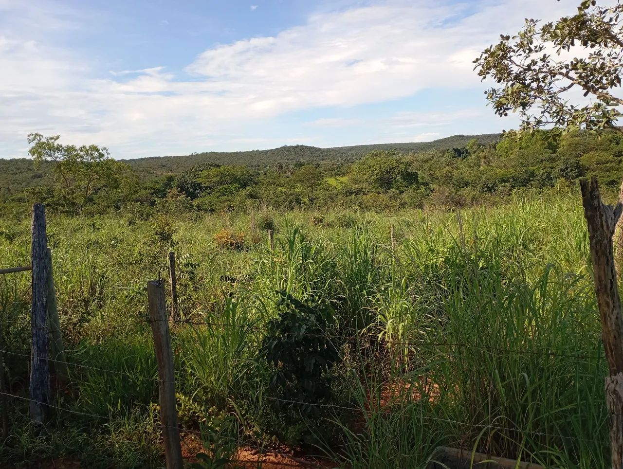Foto - Montes Claros - Alice Maia