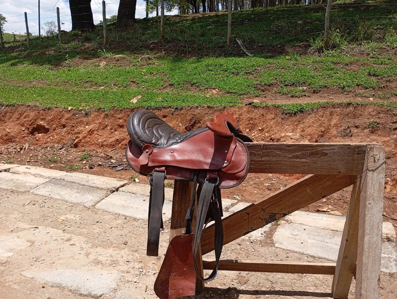 Vendo duas celas ou troco por galinha caipira  - Foto 2