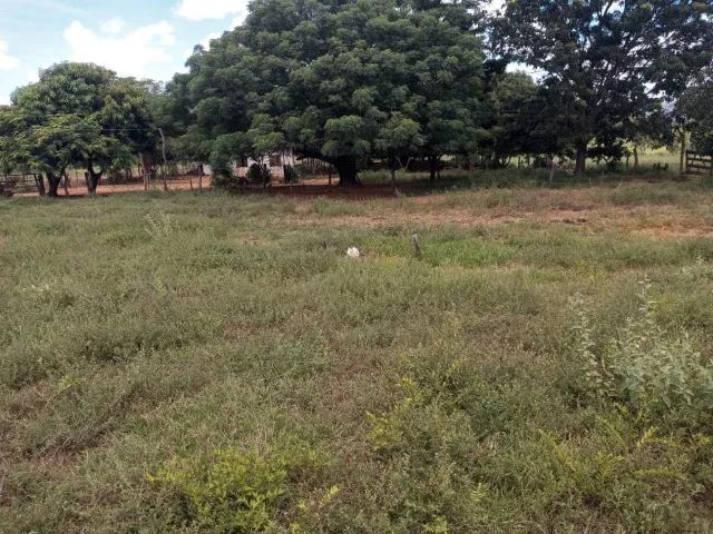 Propriedade à venda! - Foto 3