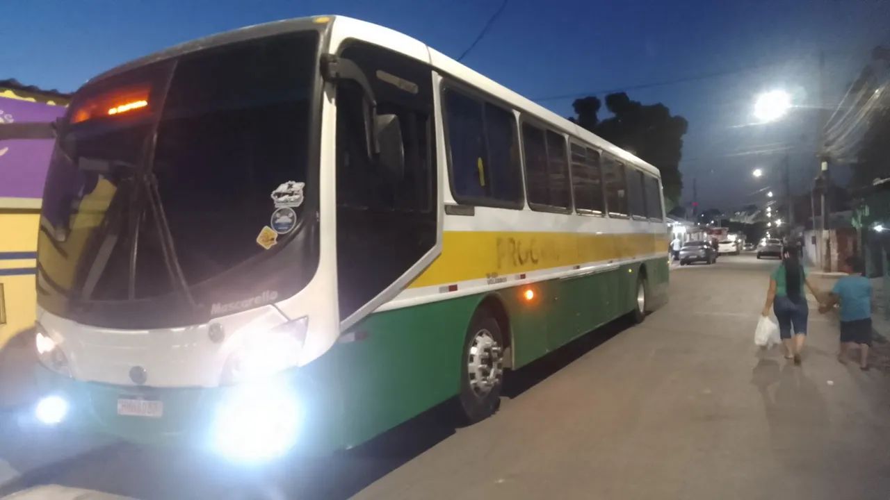 Vendo ano 2008