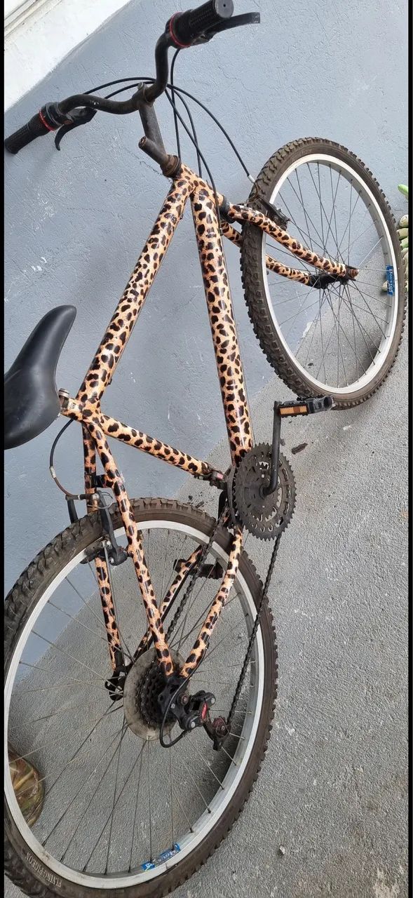 Bicicleta