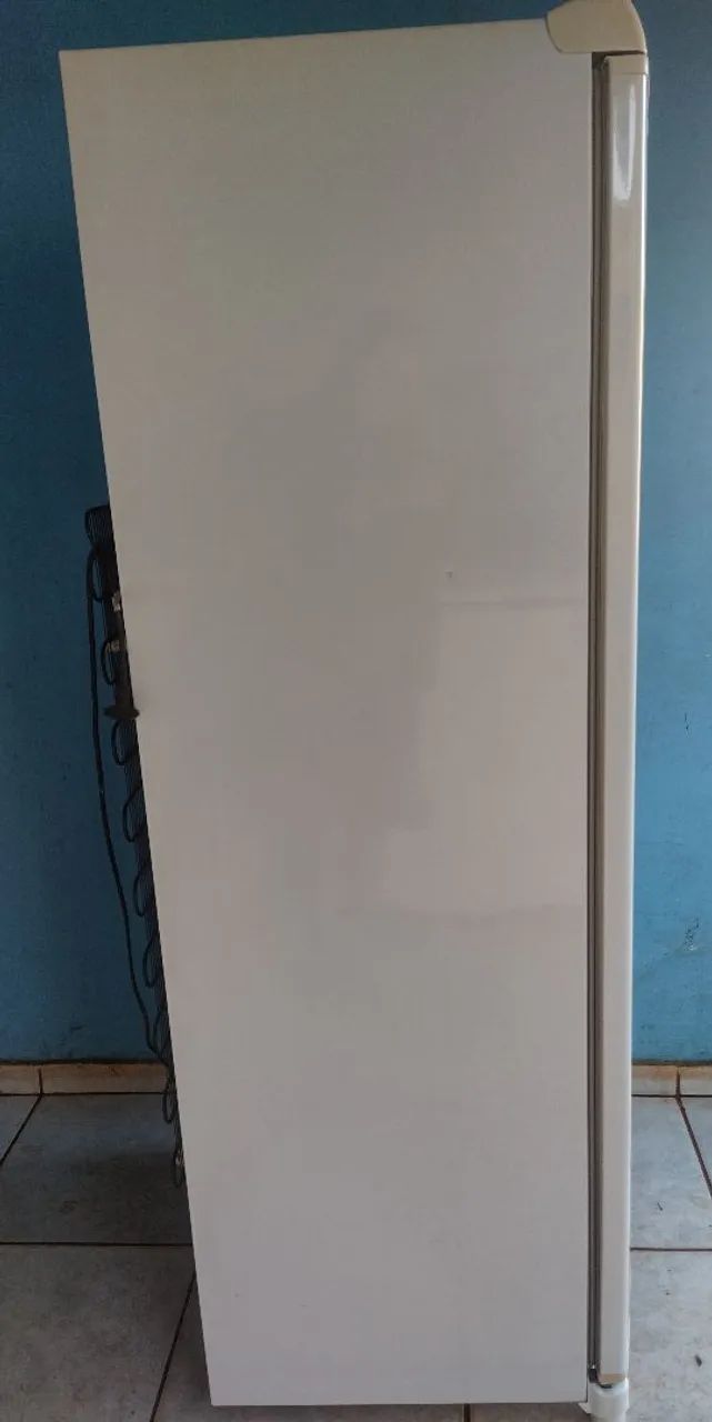 Freezer  Consul 246 litros w110 - Foto 5