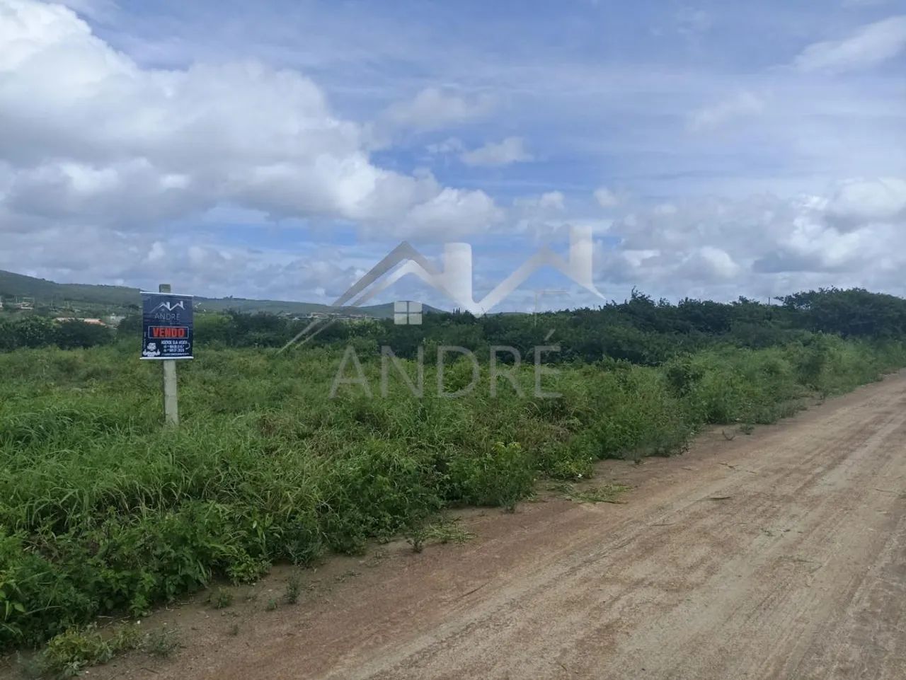 Lote para Venda em Sairé, PLANALTO 710 - Foto 5