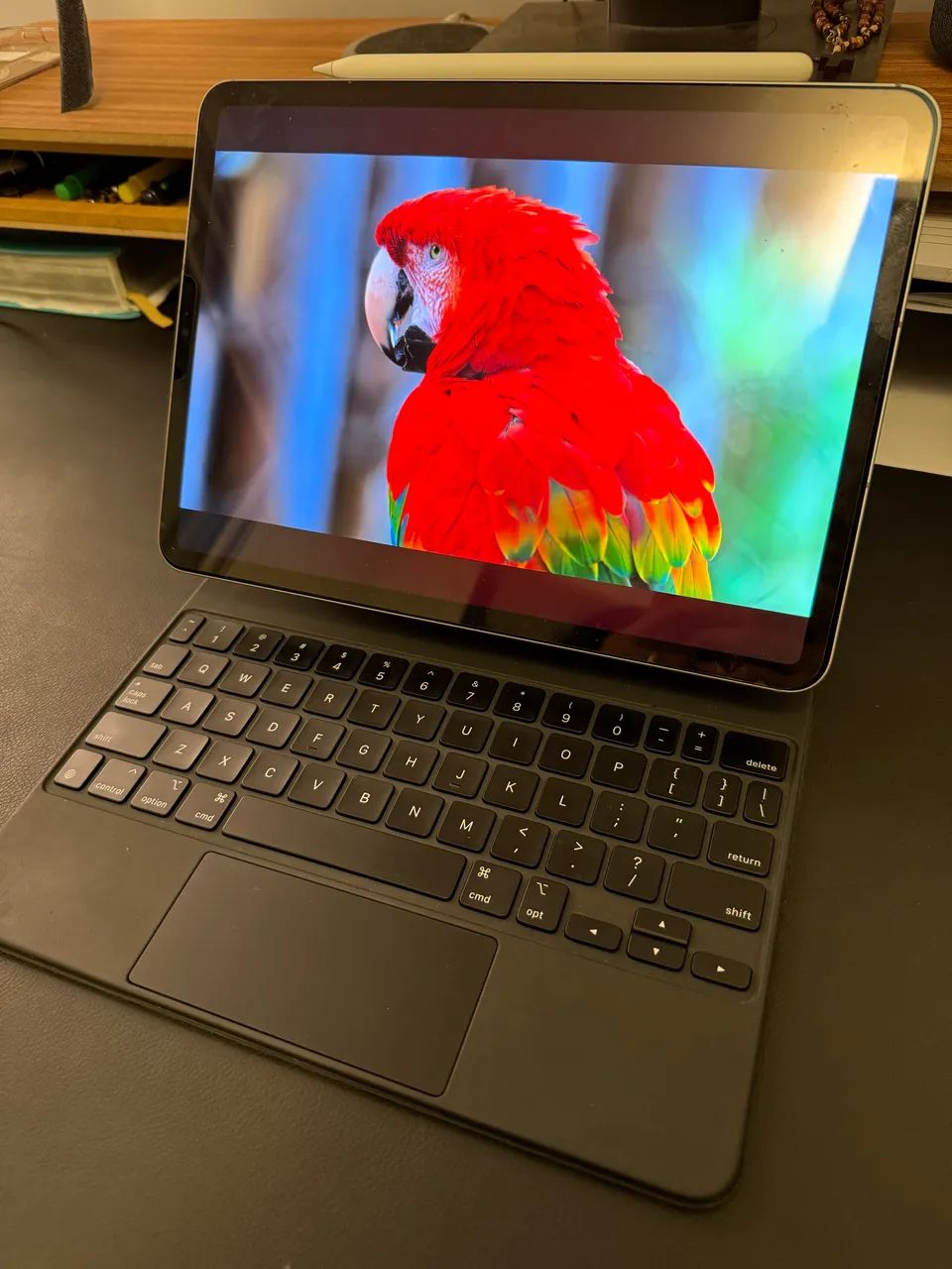 iPad Pro 11 polegadas M2 512 Gigas Wi-Fi e Celular + Acessórios