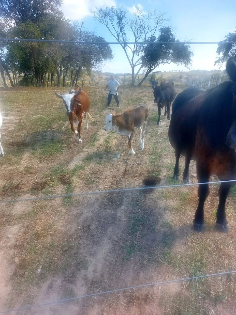 Sitio - Foto 4