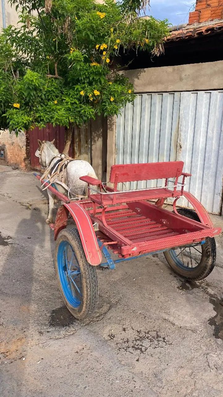Cavalo e charrete e areios - Foto 2