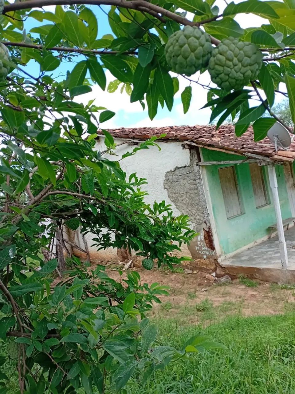 Vende -se Sitio Documentado com Rio,Casa e acesso internet  - Foto 2