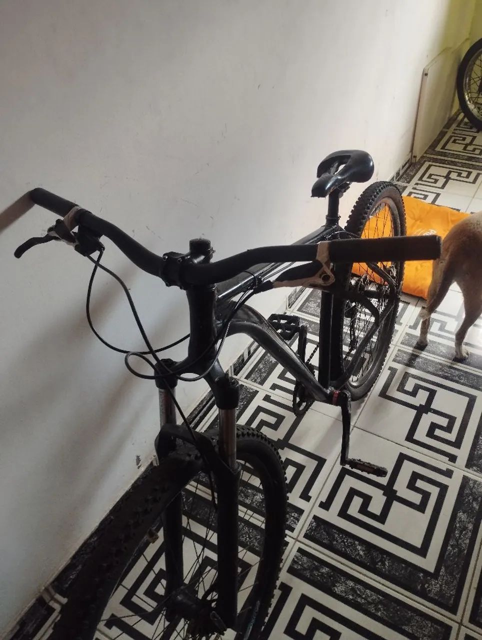 Bicicleta  - Foto 5