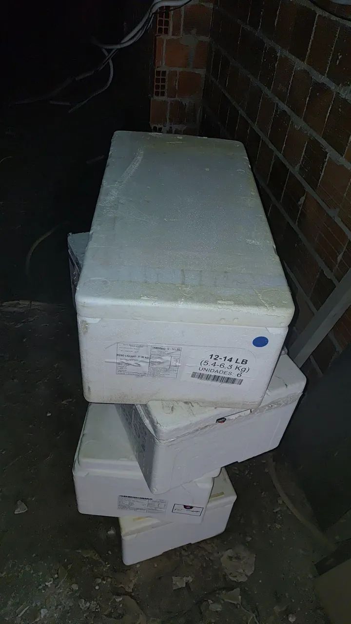Caixa térmica de Isopor - Foto 2
