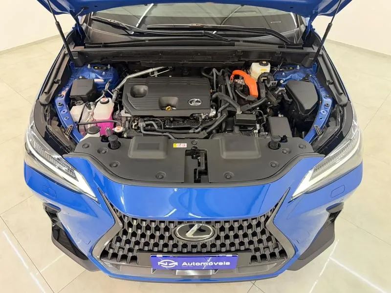 Lexus NX-350h Luxury 2.5 16V Aut. (hybrid), foto 20 de 20