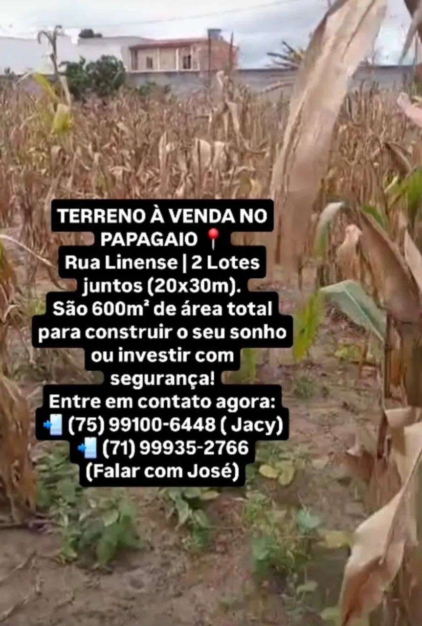 Foto - Feira de Santana - Brasília