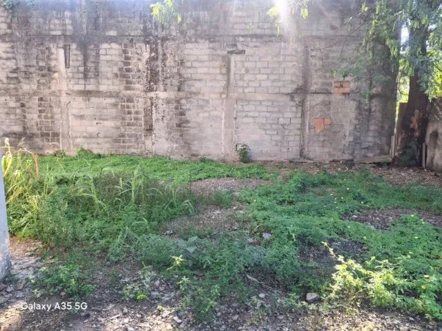 alugo terreno 250m2 - Foto 5
