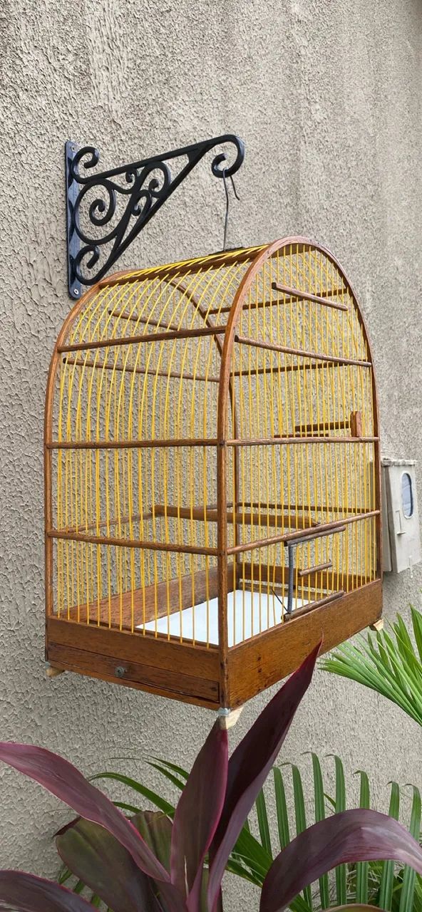 Gaiola - Foto 2