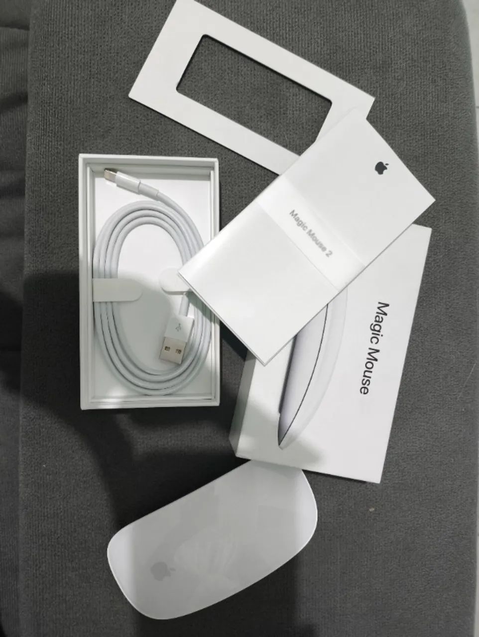 Magic Mouse 2 Apple (Original)