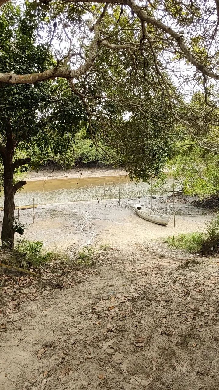 Terreno no porto dos cajueiros - Foto 4