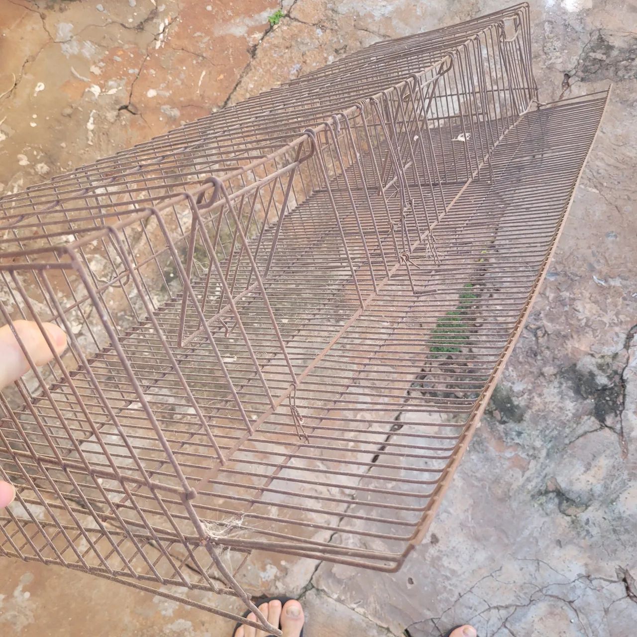 Gaiola pra codorna
