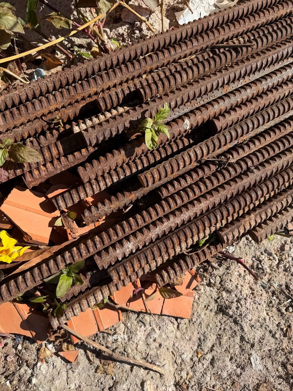 Vara de ferro  - Foto 5