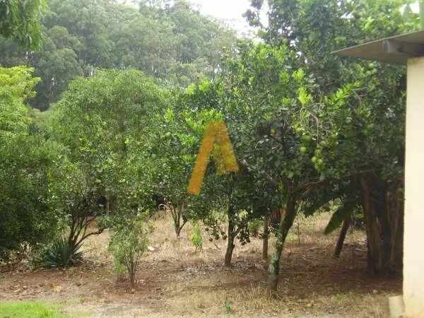 Chácara a Venda em Batatais - Foto 4