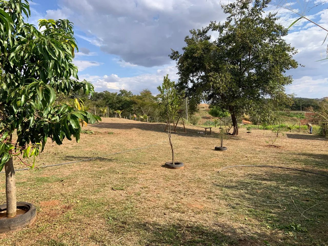Vendo chácara em Caturai  - Foto 4