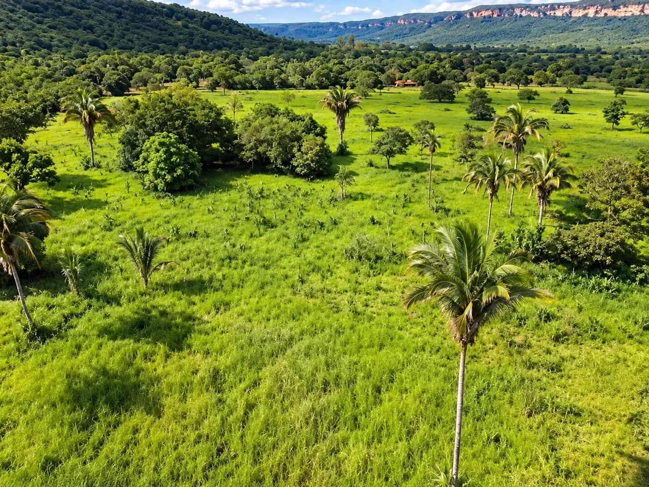 Fazenda a venda em Palmas - Tocantins!!! - Foto 4