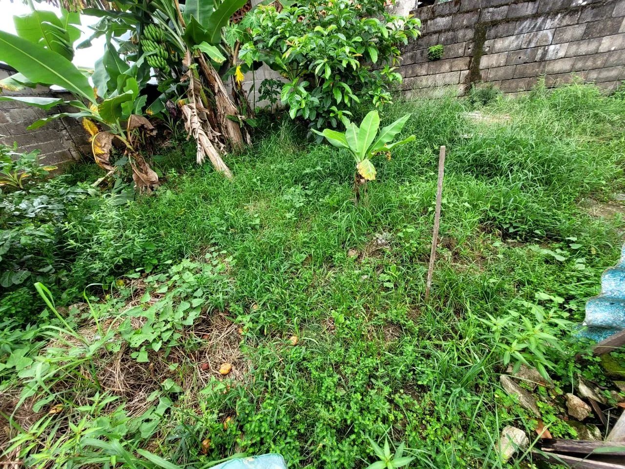 Foto - Ubatuba - Jardim Ubatuba