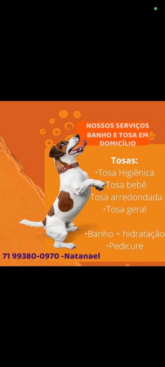 Cuidador De Pet - Foto 3