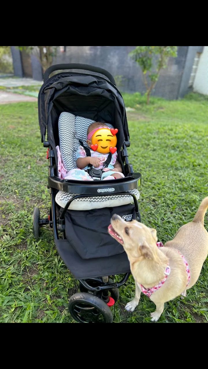 Carrinho de bebê vem com a almofada de carrinho 