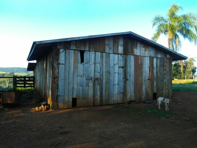 Fazenda de 66 Alqueires .50 Alqueires Mecanizados - 17 KM de Cantagalo PR - Foto 17