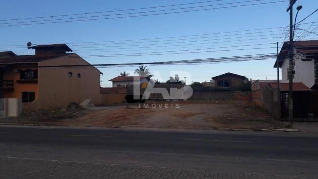 Loteamento/condomínio para alugar em São vicente, Itajaí cod:5057_1761 - Foto 3