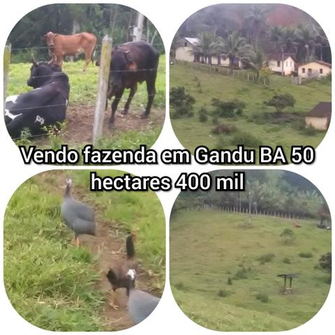 Vendo fazenda em Gandu BA