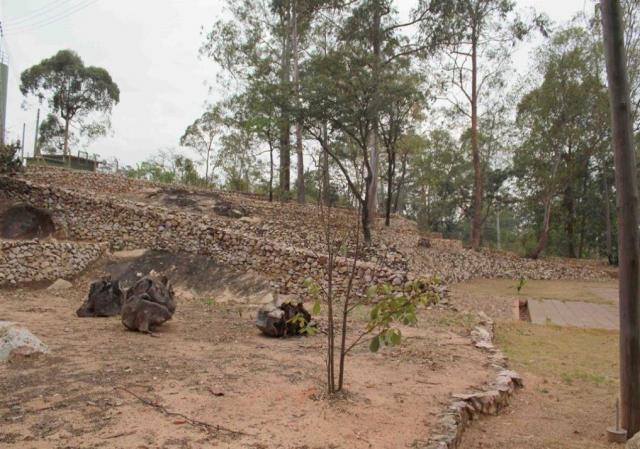 Terreno na cidade de São Carlos cod: 34989 - Foto 4