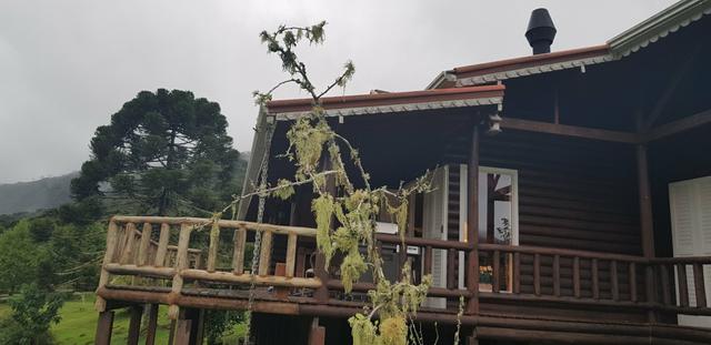 Linda casa a venda em Urubici/ perto do corvo Branco/sítio - Foto 4