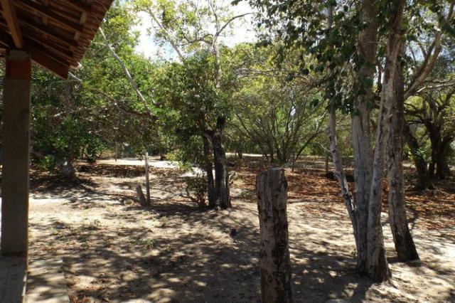 Terreno a venda no Cond. Quintas das Lagoas em Itacimirim - Foto 20