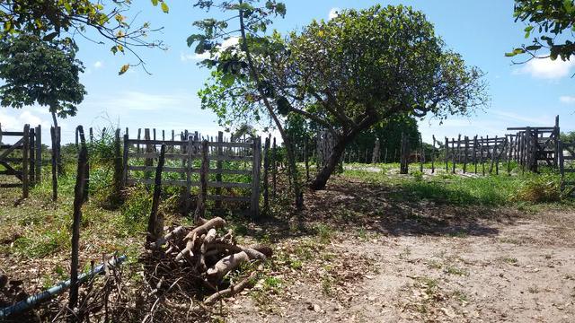 Granja na BR 101, 33 Hectares, 2 Rios, Casa Sede, 3 Baias, Poço, Pasto, Capim - Foto 18
