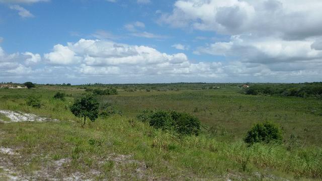 Granja na BR 101, 33 Hectares, 2 Rios, Casa Sede, 3 Baias, Poço, Pasto, Capim - Foto 13