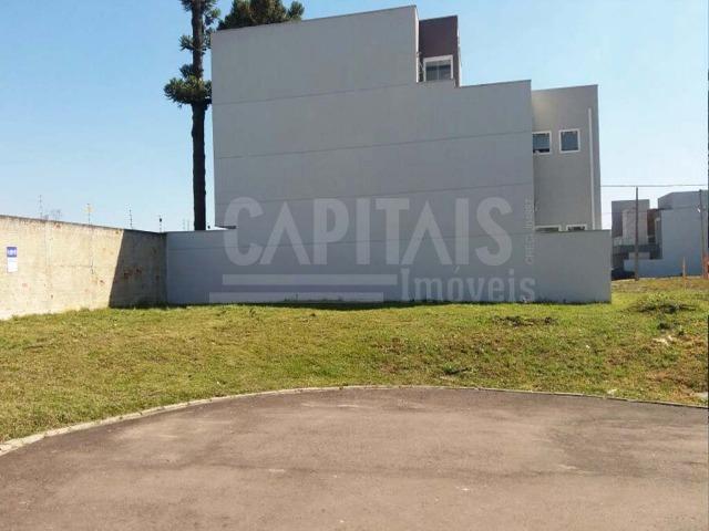 Terreno com 236m² no Jardim Iná São José dos Pinhais - Foto 3