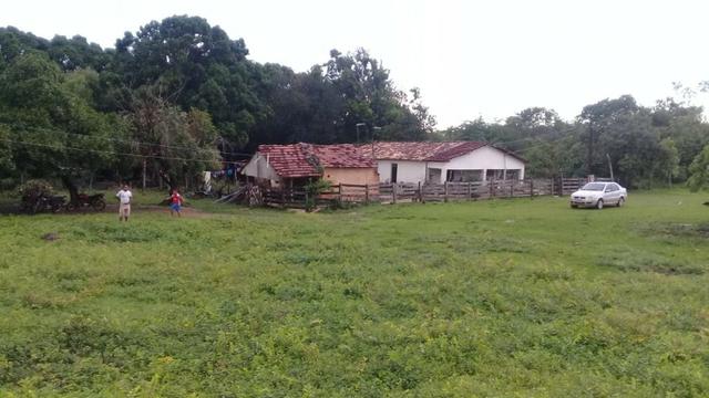 FAzenda de 234 alqueires na região de goianorte - Foto 10