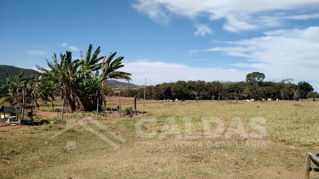 Fazenda de 10 alqueires para pecuária na região de Caldas Novas GO - Foto 7