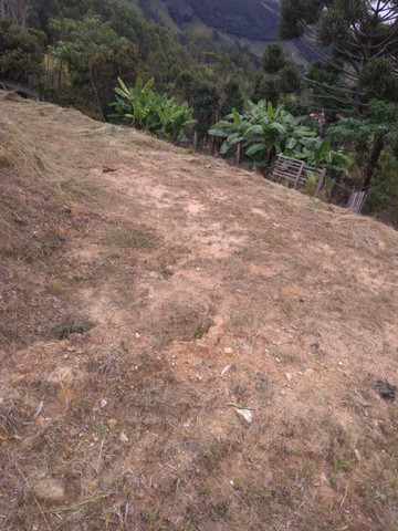 Chácara com 3.000 m2 em Delfim Moreira, MG. Aceito carro! - Foto 11