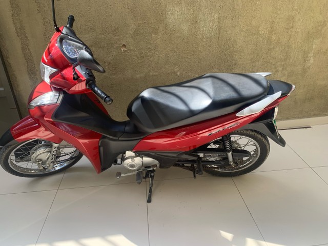 BIZ 110 ANO 2019/2020