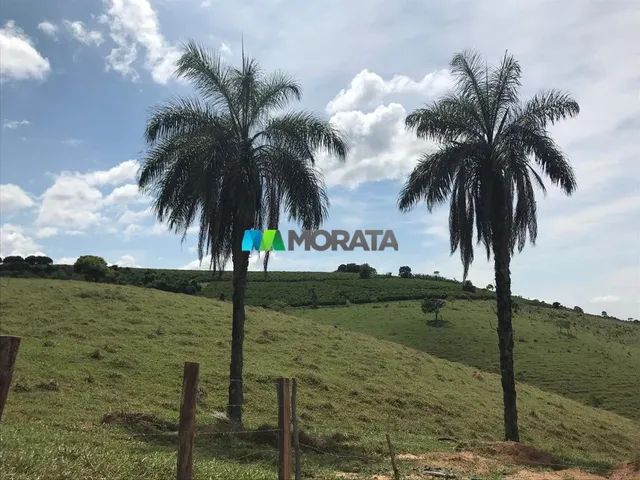FAZENDA À VENDA - 240 HECTARES - REGIÃO DE CAMPOS ALTOS (MG) - Foto 3