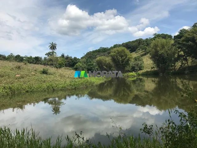 FAZENDA À VENDA - 240 HECTARES - REGIÃO DE CAMPOS ALTOS (MG) - Foto 4