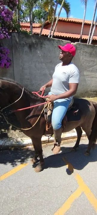 Cavalo Mangalarga Marchador - 10 anos - Foto 5