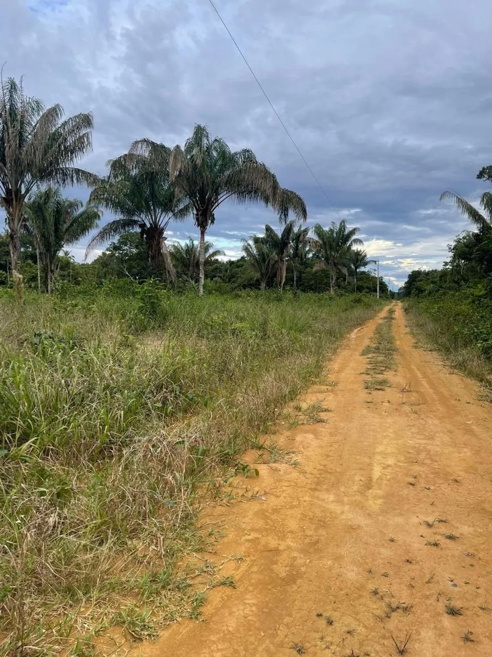 Sítio a venda  - Foto 3