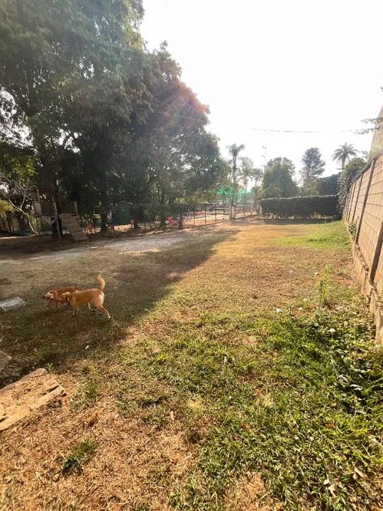 Sítio para temporada ArenaLiberdade - Foto 7