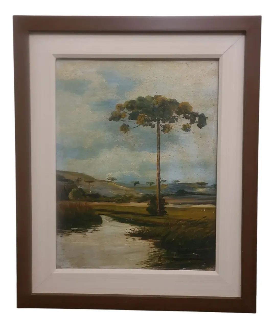 Quadro Paisagem Araucaria Sul Do Brasil Atribuido G. Matter