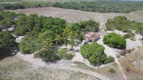 fazenda com 270 hectares próximo a Macaiba - Foto 5