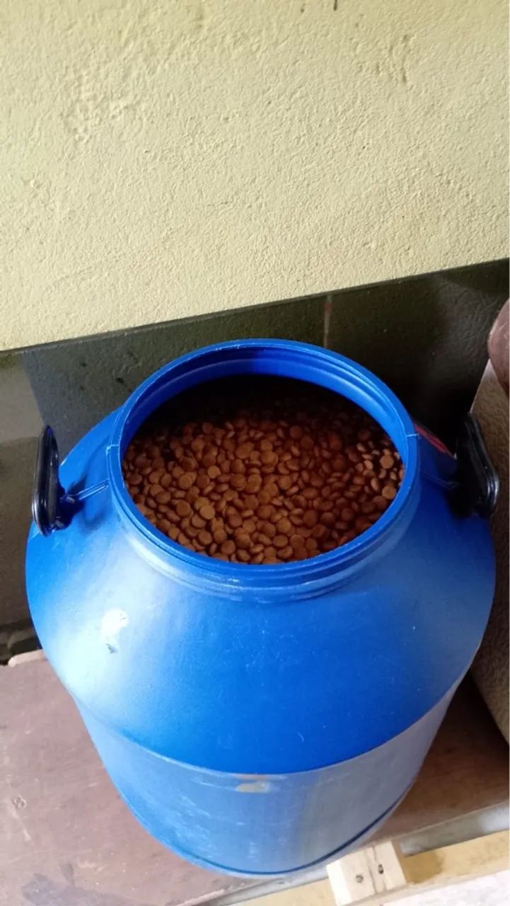 Tambores / Bombonas 50L 65L 250L 270L 280L - Foto 4